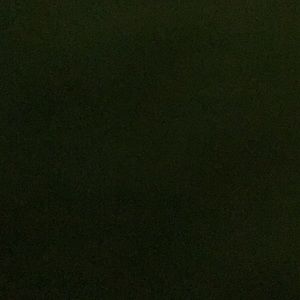 Meet your Posher, Liz